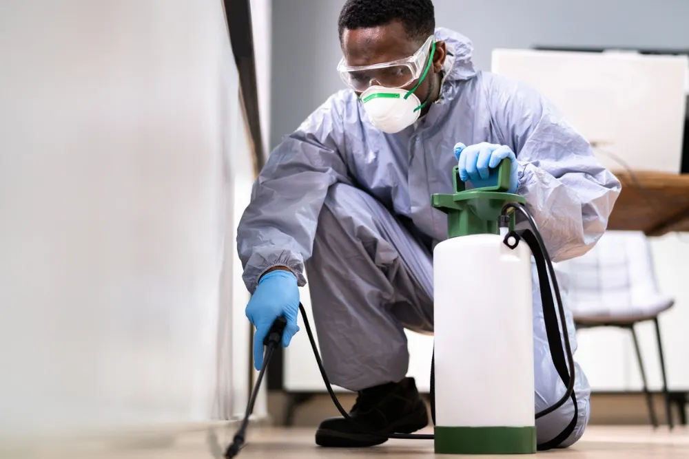 Ant Pro Pest Control Houston