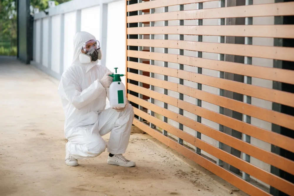 Cockroach Control in Houston