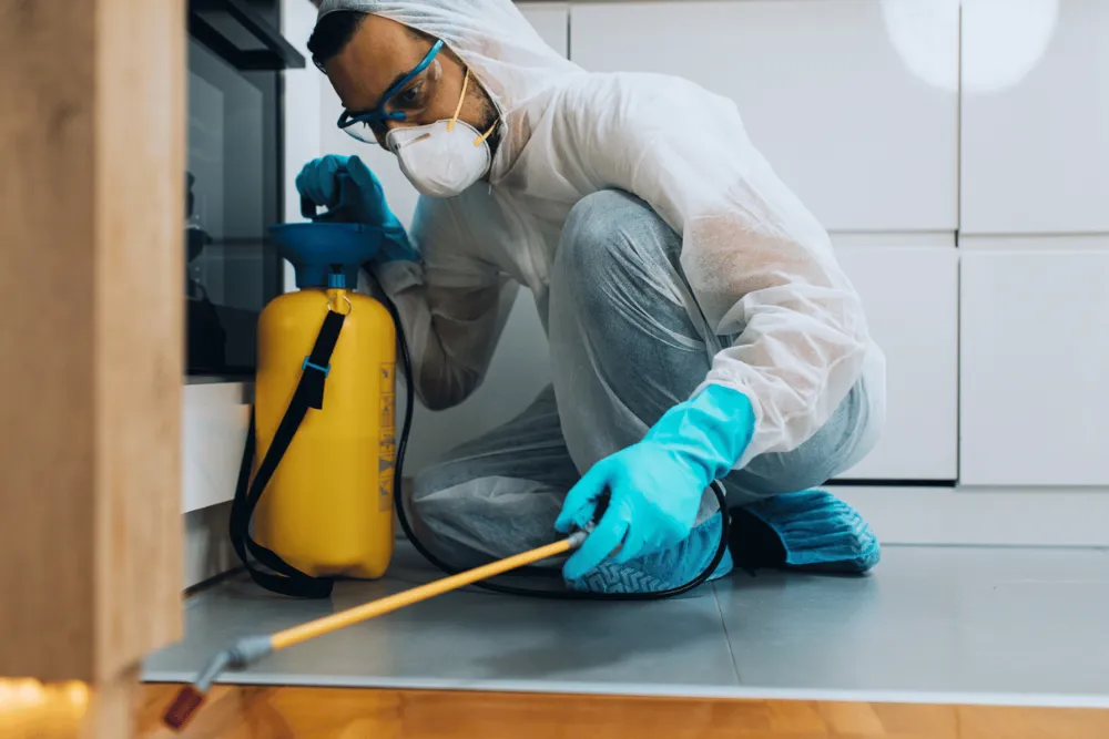 Rodent Control in Houston