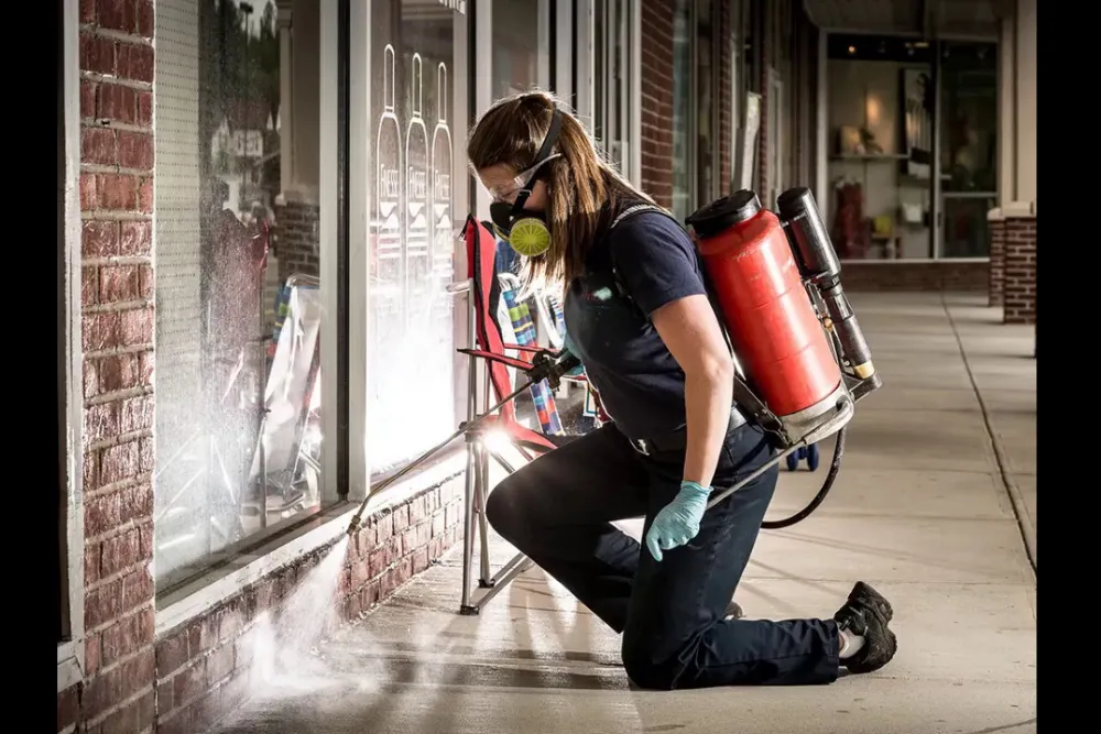 Rodent Control in Houston