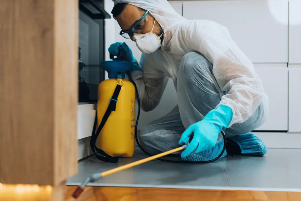 Termite Pest Control Houston